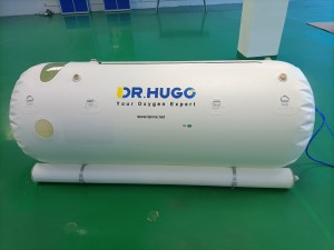 Oxygen Cylnder Regulator - Hyperbaric oxygen chamber uDR S2 – Lannx