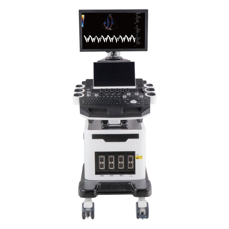 DW-T8 VET COLOR DOPPLER ULTRAS1