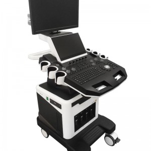 Color Doppler Ultrasound For Veterinary vDult T8