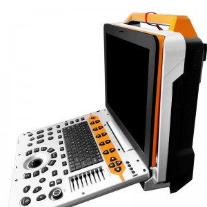 Full Digital Color Doppler Ultrasound For  Veterinary vDult P60
