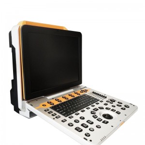 Full Digital Color Doppler Ultrasound For  Veterinary vDult P60