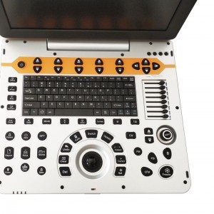 Full Digital Color Doppler Ultrasound For  Veterinary vDult P60