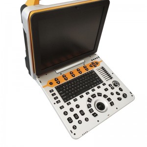 Full Digital Color Doppler Ultrasound For  Veterinary vDult P60