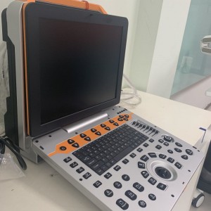 Full Digital Color Doppler Ultrasound For  Veterinary vDult P60