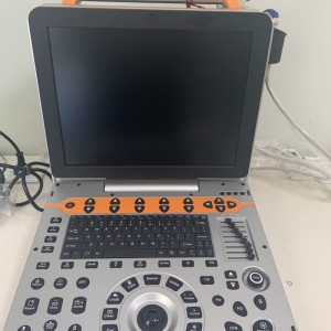Full Digital Color Doppler Ultrasound For  Veterinary vDult P60