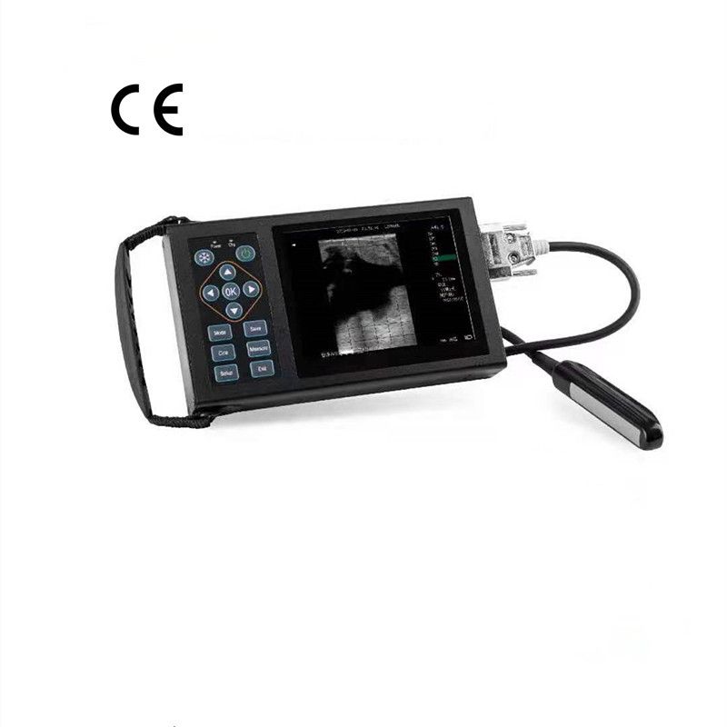 Function parameters of A20 ful1