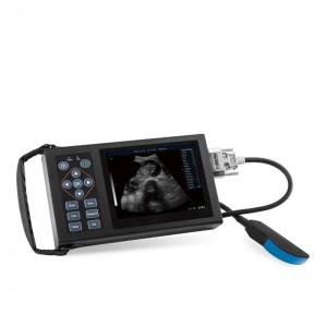 Digital B Ultrasound For Veterinary vUlt A20
