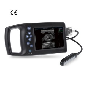 Digital B Ultrasound For Veterinary vUlt A6
