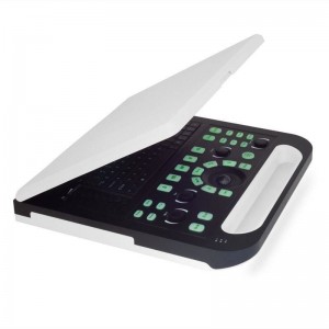 Digital B Ultrasound For Veterinary vUlt N50