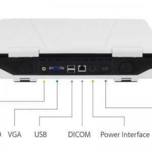 Digital B Ultrasound For Veterinary vUlt N50