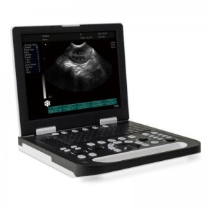 Digital B Ultrasound For Veterinary vUlt N50