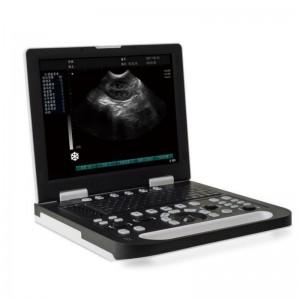 Digital B Ultrasound For Veterinary vUlt N50