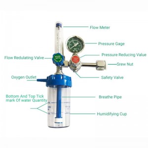 Zy-5aw Oxygen-Concentrator - Oxygen Flowmeter With Humidifier With Ohmeda Adapter – Lannx