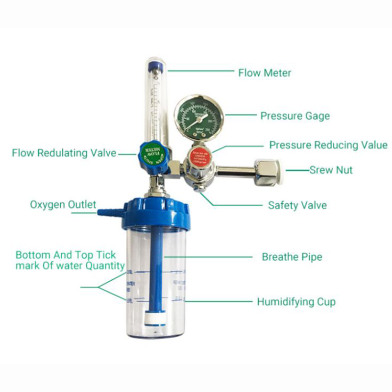 Oxygen Concentrator 25l - Oxygen Flowmeter With Humidifier With Ohmeda Adapter – Lannx