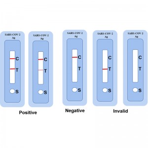 Wholesale Price China Covidien Pulse Oximeter - Hot Selling Saliva Style COVID-19 Antigen Test Kit – Lannx