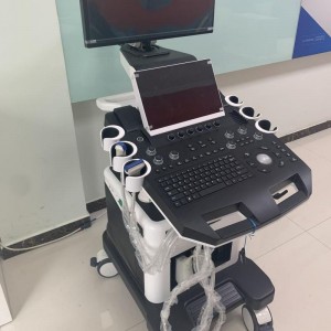 Color Doppler Ultrasound For Veterinary vDult T6