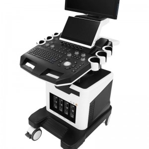 Color Doppler Ultrasound For Veterinary vDult T6