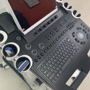 Color Doppler Ultrasound For Veterinary vDult T6