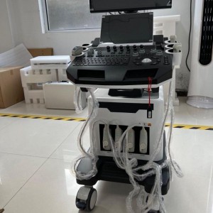 Color Doppler Ultrasound For Veterinary vDult T6