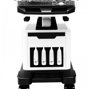 Color Doppler Ultrasound For Veterinary vDult T6