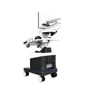 Color Doppler Ultrasound For Veterinary vDult T6