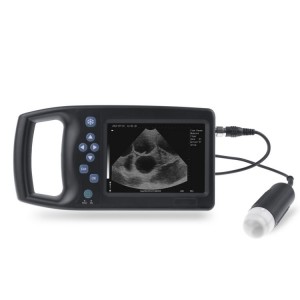 Digital B Ultrasound For Veterinary vUlt M6