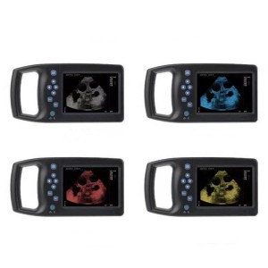 Digital B Ultrasound For Veterinary vUlt M6