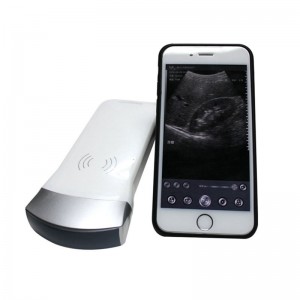 Single Head Scanner-Convex Array Wireless Ultrasound uRason W3