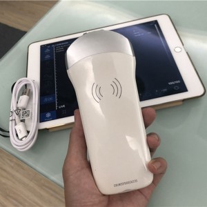 Single Head Scanner-Linear Array Wireless Ultrasound uRason W4