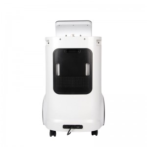 10L Medical Oxygen Concentrator uDR P10