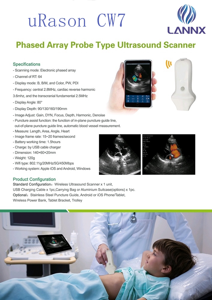 pregnancy ultrasound probe