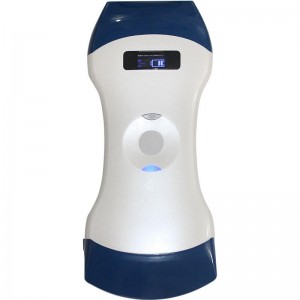 Dual Head Convex & Linear Array Wireless Ultrasound Probe uRason W7