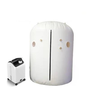 Pulse Oxygen Regulator - Double seated Customizable hyperbaric oxygen chamber uDR H2  – Lannx