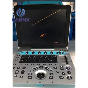 Portable Veterinary Color Doppler  Ultrasound vDult P5