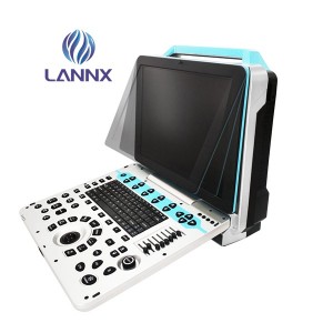 Portable Veterinary Color Doppler  Ultrasound vDult P5