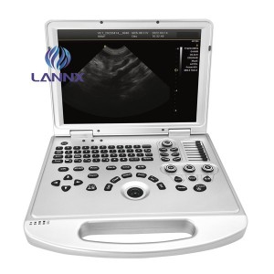 Color Doppler ultrasound for veterinary vDult L3