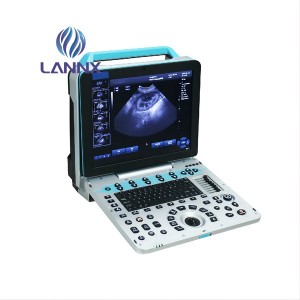 Portable Veterinary Color Doppler  Ultrasound vDult P5