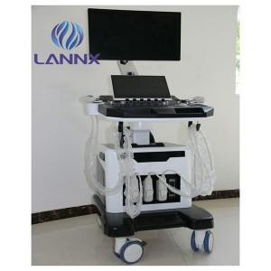 Trolley powerful echo untrasound professional cardiac ultrasound machine uDult T8