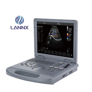 Color Doppler ultrasound for veterinary vDult L3