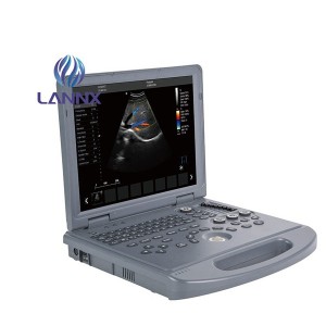 Color Doppler ultrasound for veterinary vDult L3