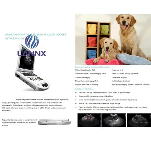 medical Color Doppler ultrasound machine for vet vDult L6