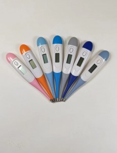 Digital Thermometer